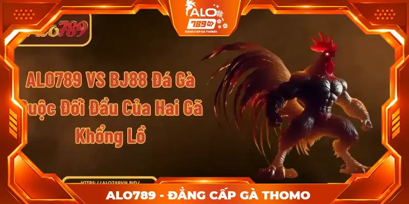 ALO789 vs BJ88 đá gà
