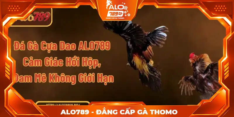 Đá Gà Cựa Dao ALO789