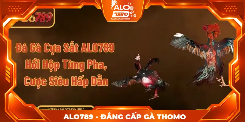 Đá Gà Cựa Sắt ALO789
