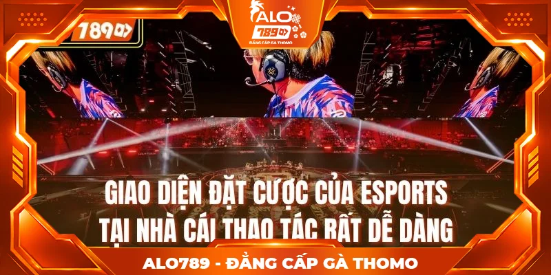 Giao diện đặt cược của Esports tại nhà cái thao tác rất dễ dàng