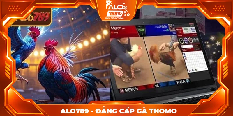 Giới thiệu vài nét về stream 4K