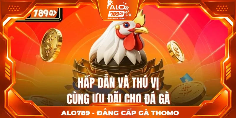 Hấp dẫn và thú vị cùng ưu đãi cho đá gà