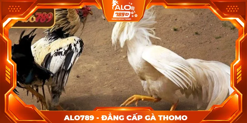 Kinh nghiệm đặt cược SV388 ALO789 giúp tăng tỷ lệ thắng