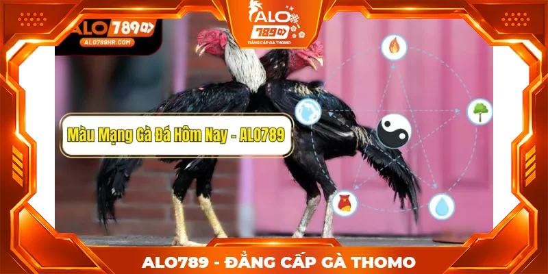 Hướng dẫn kê thủ xem màu mạng gà đá hôm nay