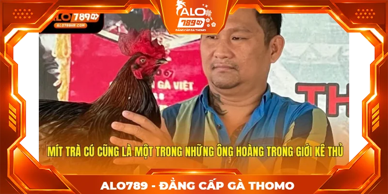 Mít Trà Cú cũng là một trong những ông hoàng trong giới kê thủ