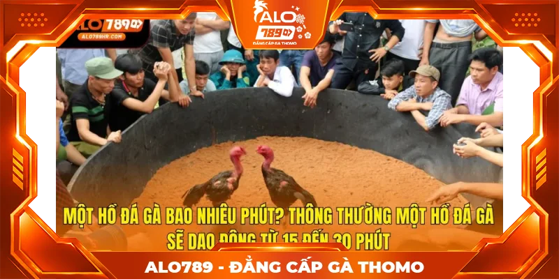 Một hồ đá gà bao nhiêu phút? Thông thường một hồ đá gà sẽ dao động từ 15 đến 30 phút Một hồ đá gà bao nhiêu phút? Thông thường một hồ đá gà sẽ dao động từ 15 đến 30 phút