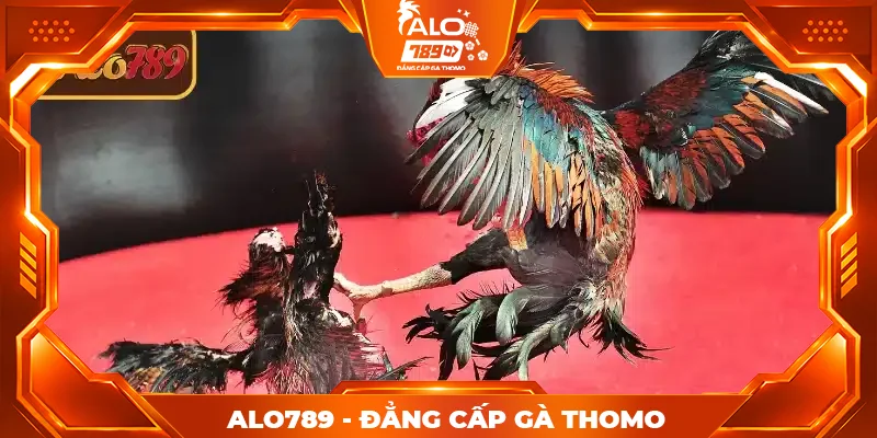 Sơ lược về đá gà cựa sắt ALO789