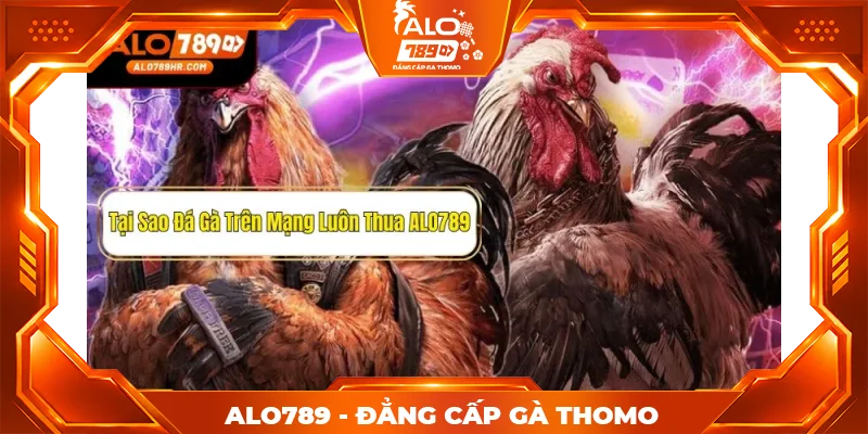 Giải đáp thắc mắc: Tại sao đá gà trên mạng luôn thua?