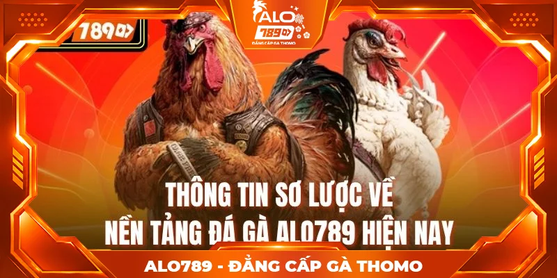 Thông tin sơ lược về nền tảng đá gà alo789 hiện nay