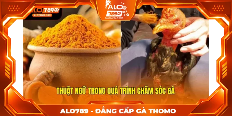 Thuật ngữ trong quá trình chăm sóc gà