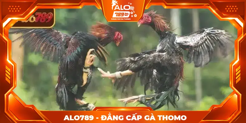 Tổng quan về CPC1 CPC3 ALO789