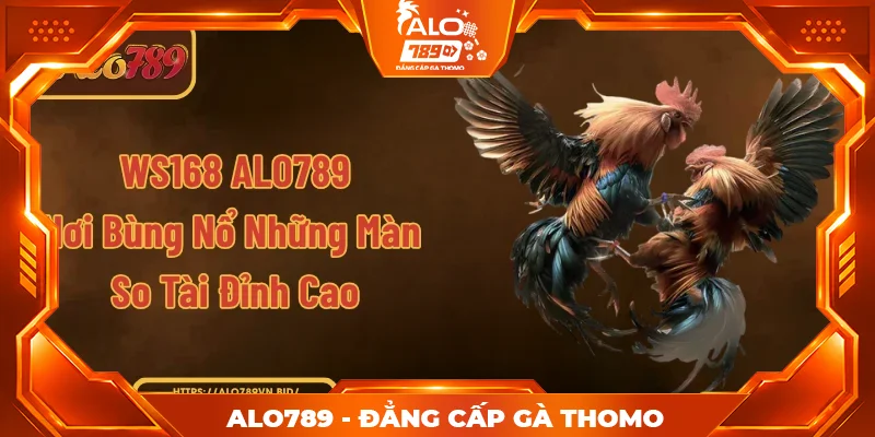 WS168 ALO789